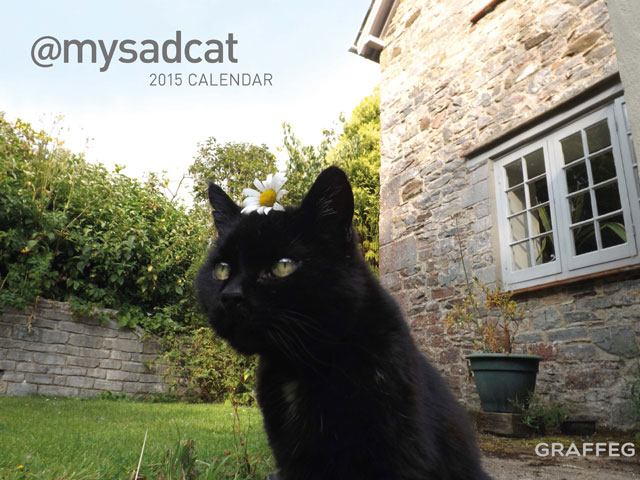 Calendar Kitty